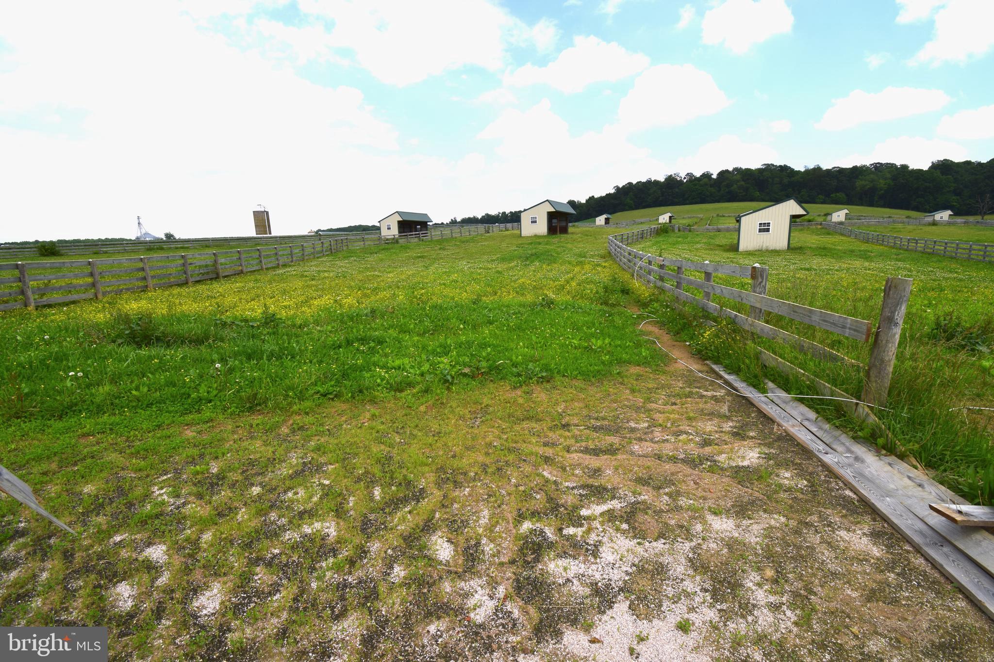 3875 Bark Hill Road Union Bridge, MD 21791 - Photo 75 of 142