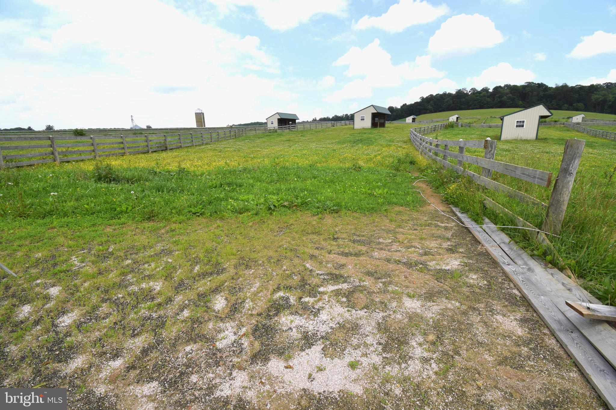 3875 Bark Hill Road Union Bridge, MD 21791 - Photo 76 of 142 a view of a big yard with potted plants and big yard