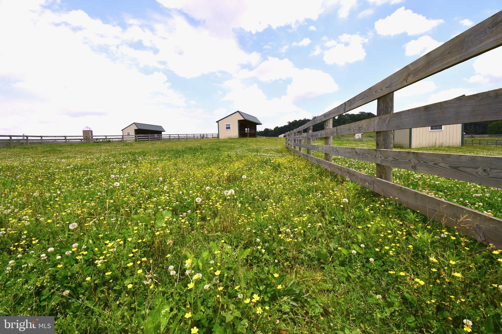 3875 Bark Hill Road Union Bridge, MD 21791 - Photo 80 of 142