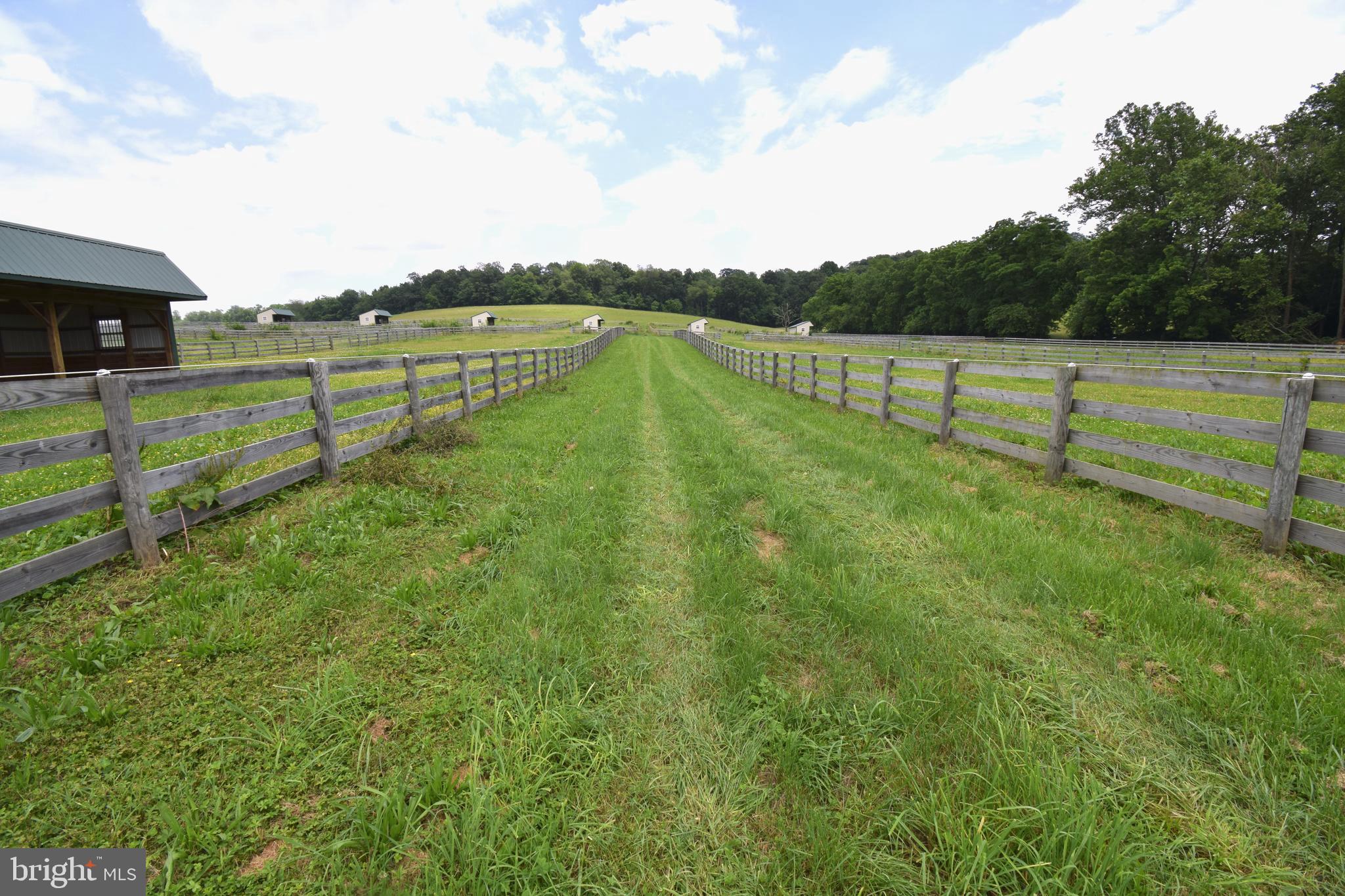 3875 Bark Hill Road Union Bridge, MD 21791 - Photo 82 of 142