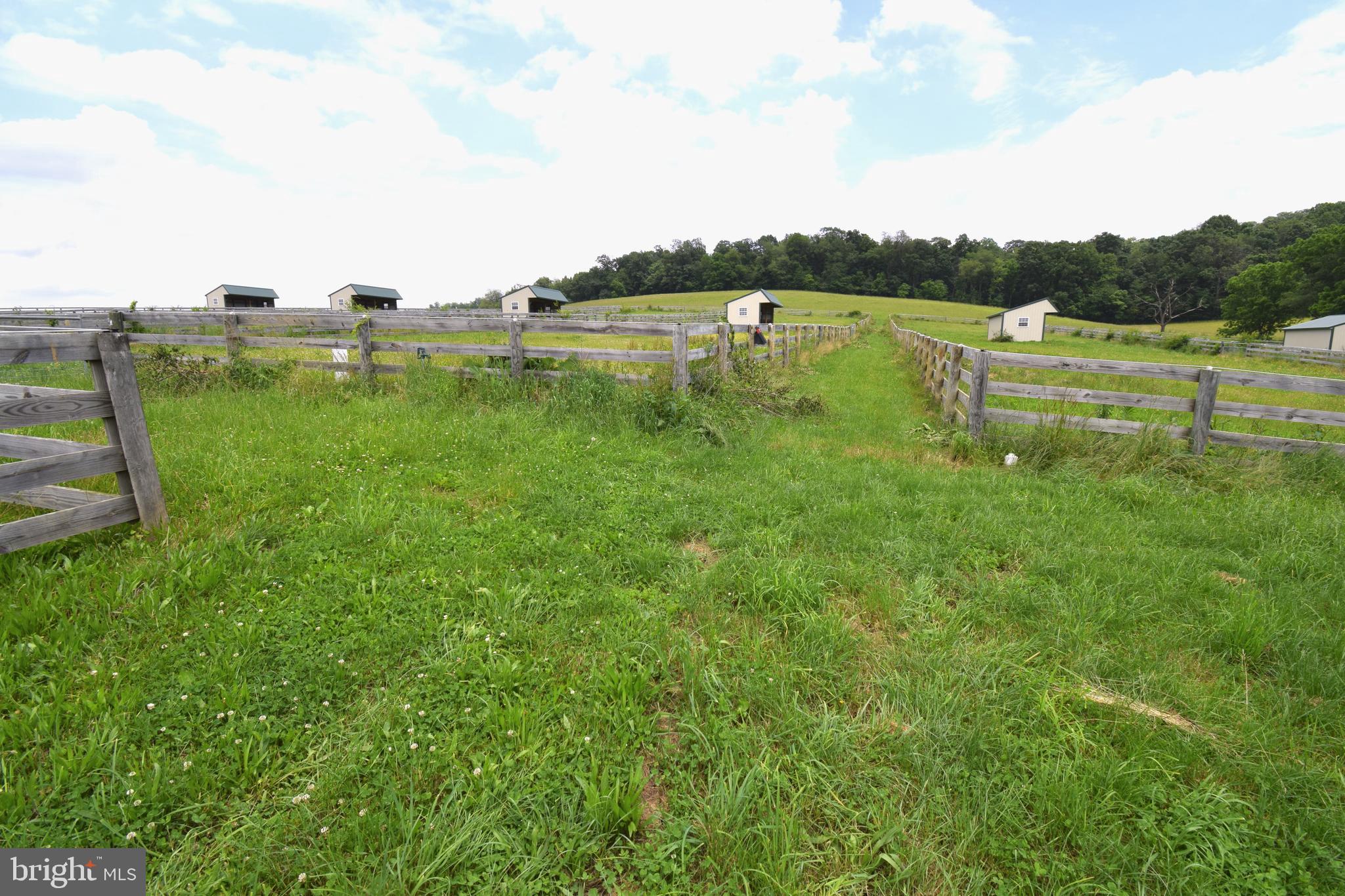 3875 Bark Hill Road Union Bridge, MD 21791 - Photo 88 of 142