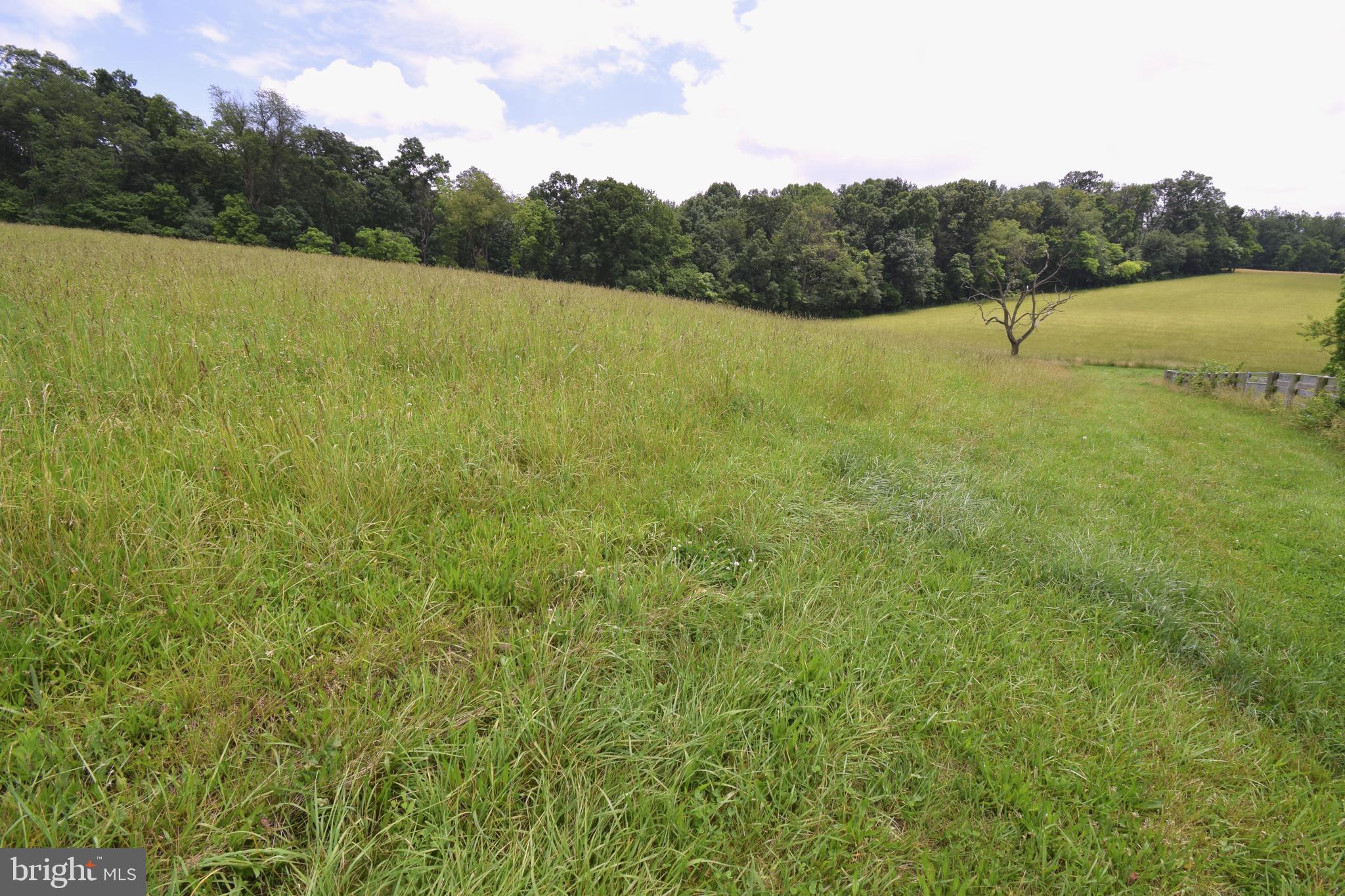 3875 Bark Hill Road Union Bridge, MD 21791 - Photo 89 of 142