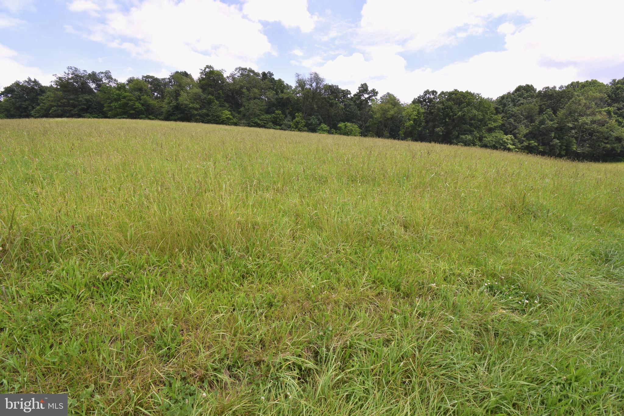 3875 Bark Hill Road Union Bridge, MD 21791 - Photo 90 of 142