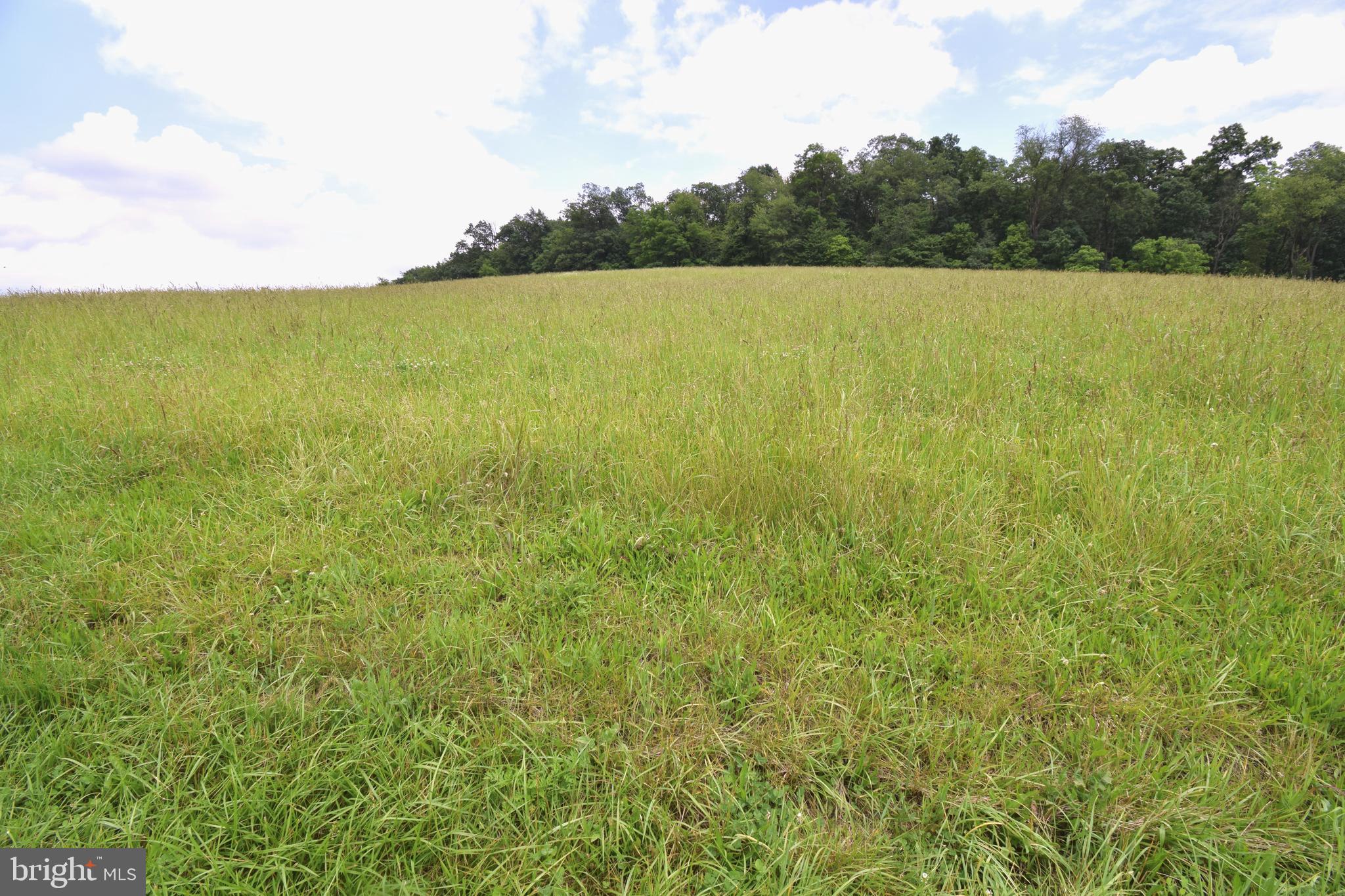 3875 Bark Hill Road Union Bridge, MD 21791 - Photo 91 of 142 a view of an ocean from a yard