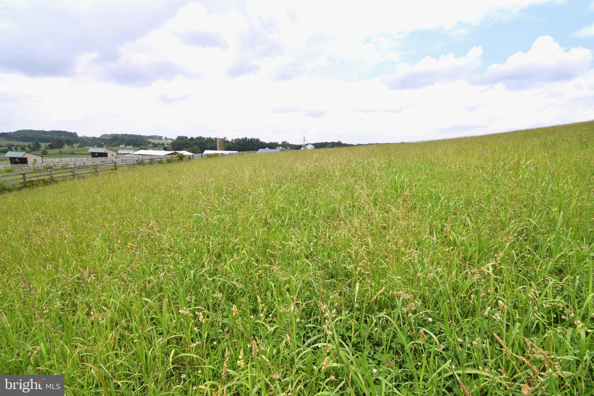3875 Bark Hill Road Union Bridge, MD 21791 - Photo 95 of 142