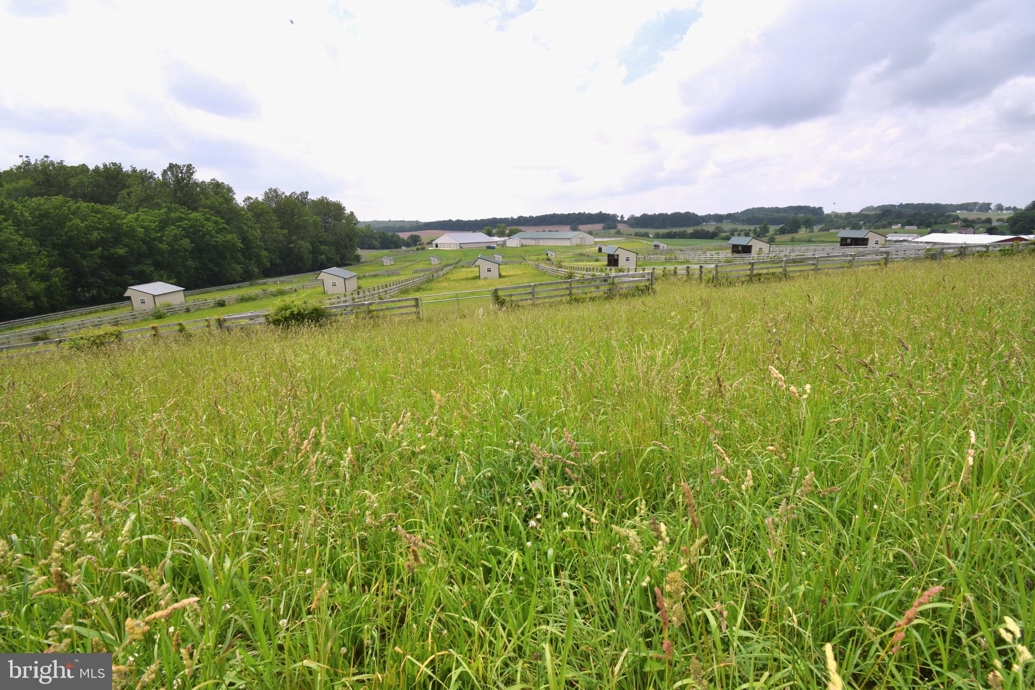 3875 Bark Hill Road Union Bridge, MD 21791 - Photo 96 of 142