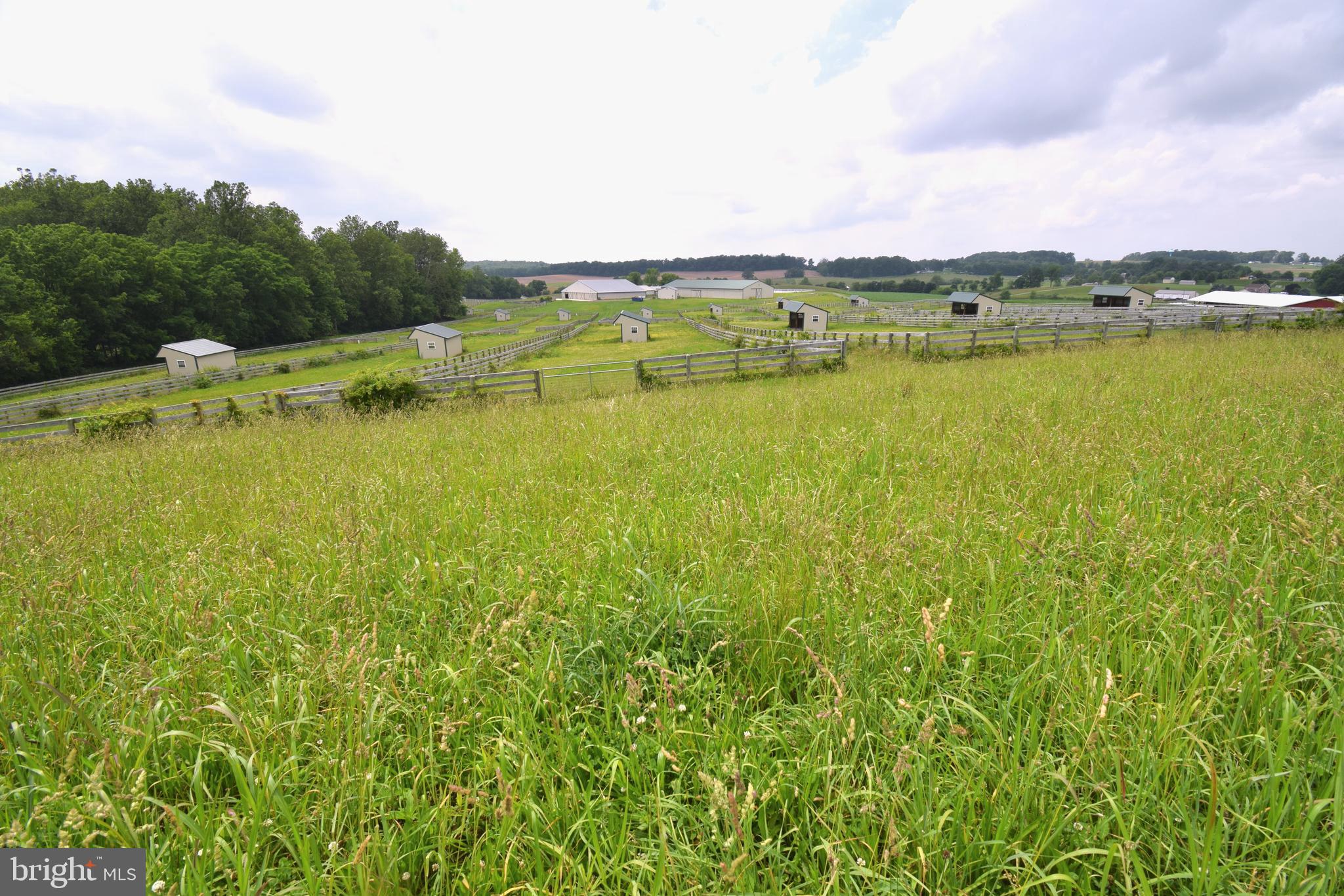 3875 Bark Hill Road Union Bridge, MD 21791 - Photo 97 of 142