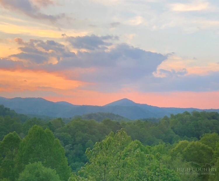 942 Ridge Haven Parkway, Unit R1211 Banner Elk, NC 28604 - Photo 28 of 45 a view of a city and mountains