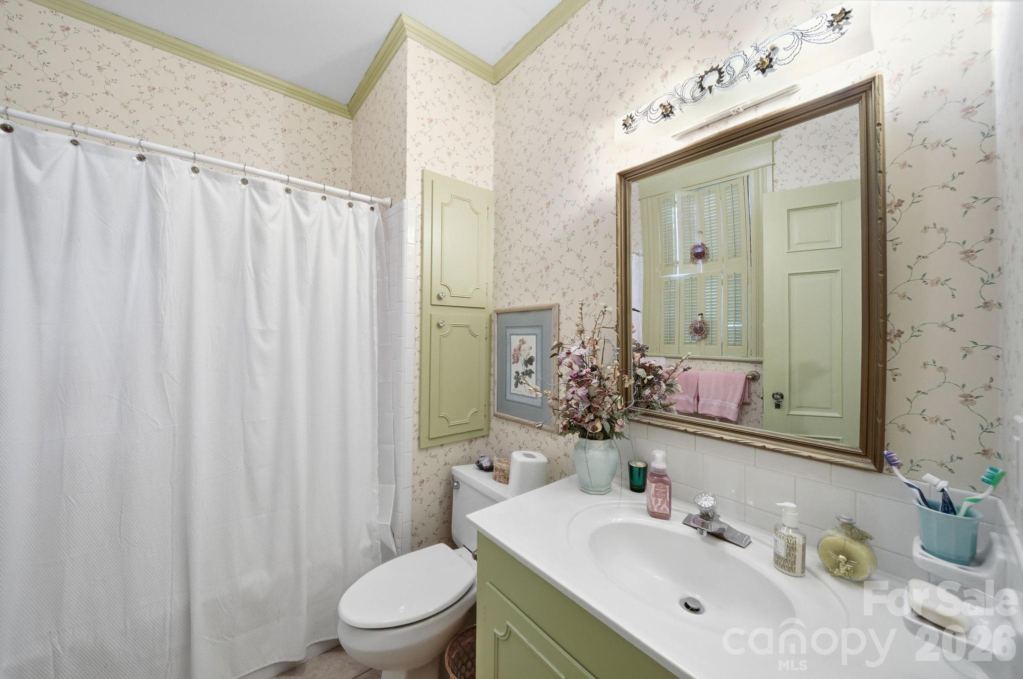 515 Camden Road Wadesboro, NC 28170 - Photo 20 of 36 a bathroom with a sink a toilet and a mirror