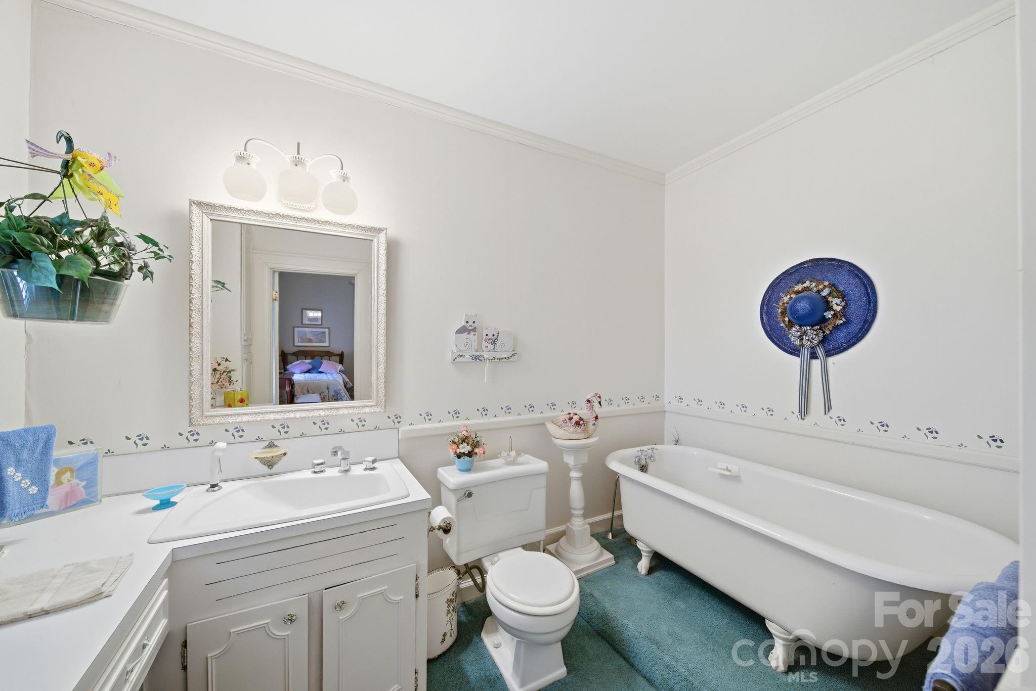 515 Camden Road Wadesboro, NC 28170 - Photo 29 of 36 a bathroom with a sink a toilet and a mirror