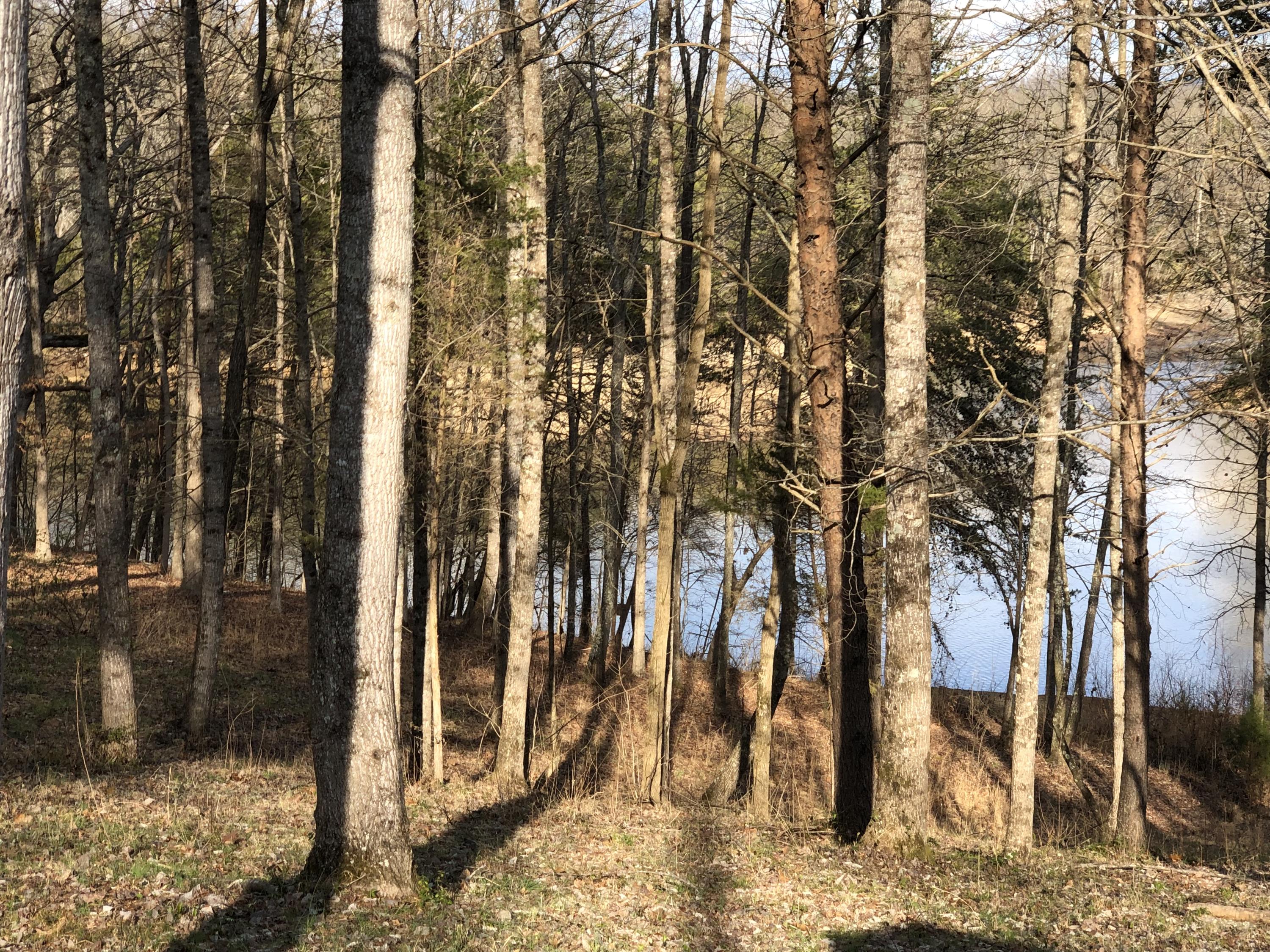 240 Hughes Road Greenback, TN 37742 - Photo 7 of 9 IMG_1767