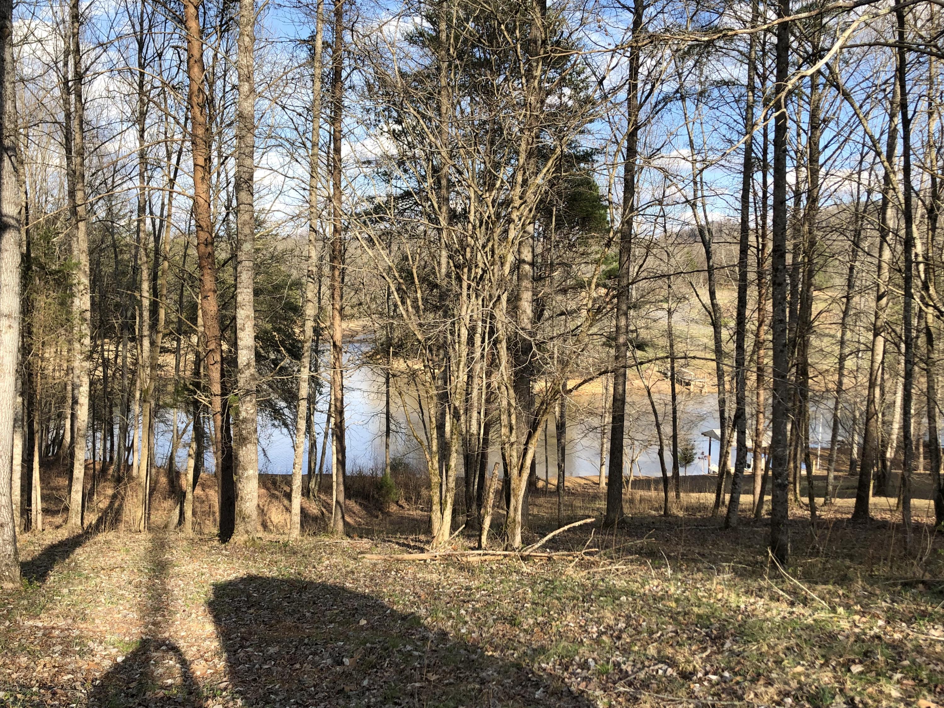 240 Hughes Road Greenback, TN 37742 - Photo 8 of 9 IMG_7134