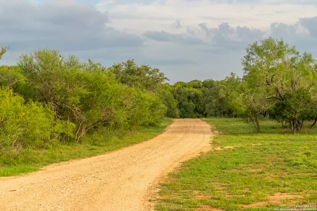 a body of water with a tree in the background