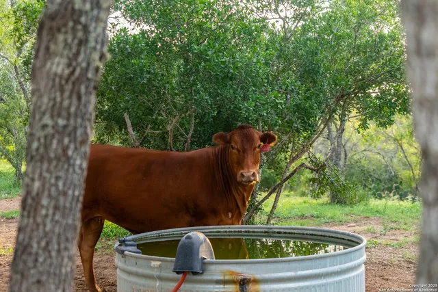 a chair and a table in a backyard