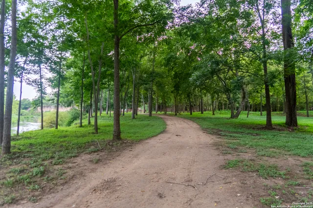 a view of a park with tree s