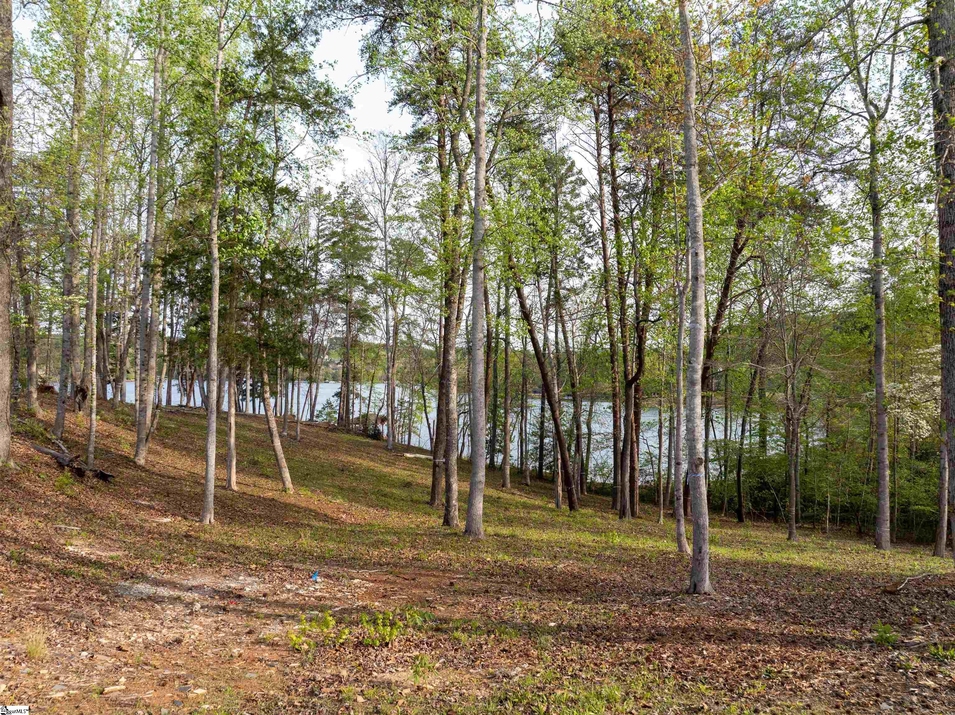 23 Peninsula Ridge Sunset, SC 29685 - Photo 23 of 28
