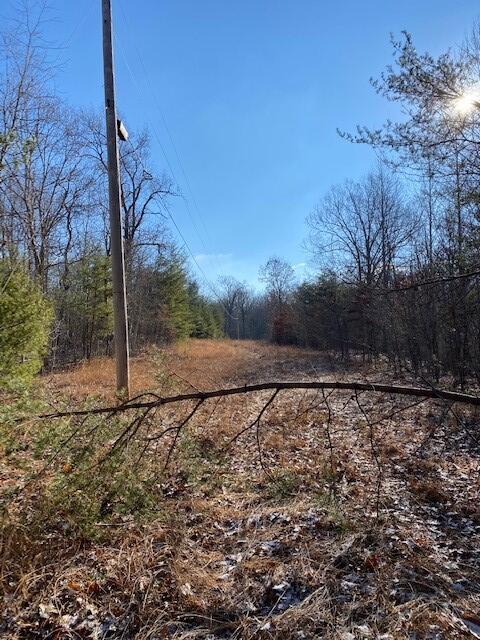 142 Cole Road Deer Lodge, TN 37726 - Photo 70 of 77 20220322195802336192000000-o