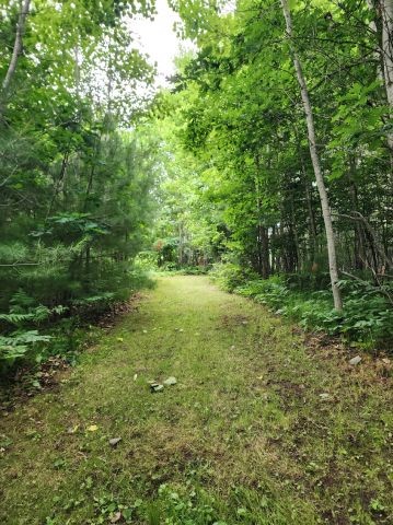 6565 Lynch Bridge Road Siren, WI 54872 - Photo 26 of 60