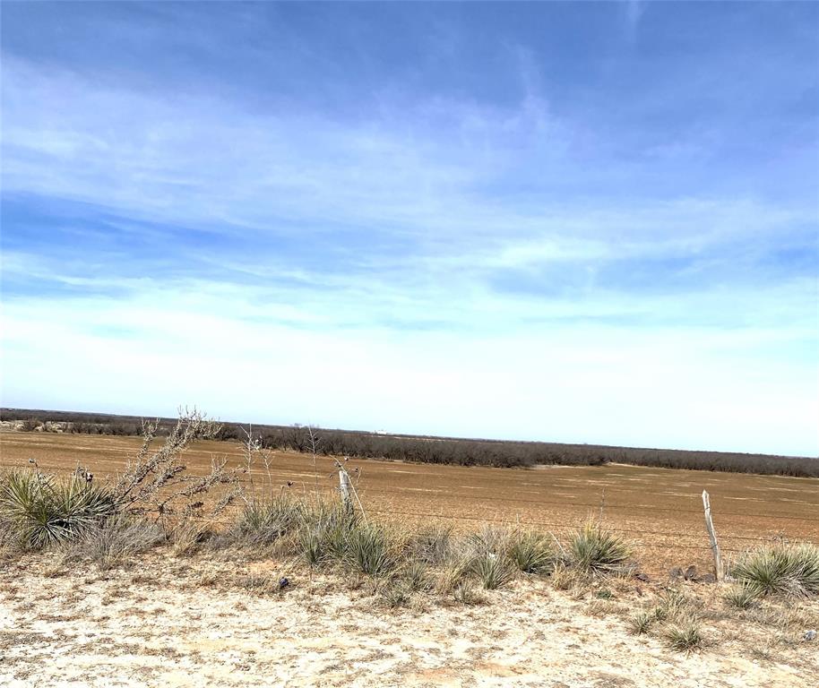 Tbd Tbd 182nd Hamlin, TX 79520 - Photo 17 of 21 a view of an ocean