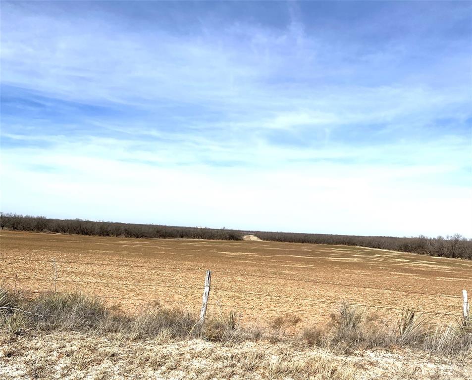 Tbd Tbd 182nd Hamlin, TX 79520 - Photo 19 of 21 a view of an ocean