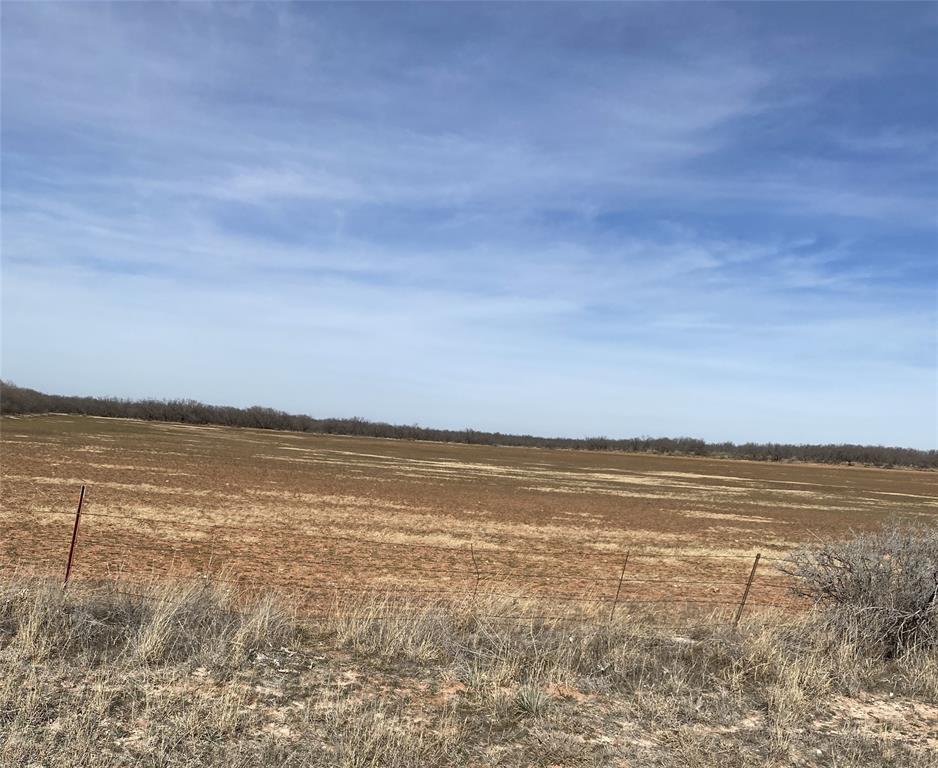 Tbd Tbd 182nd Hamlin, TX 79520 - Photo 21 of 21 a view of an ocean