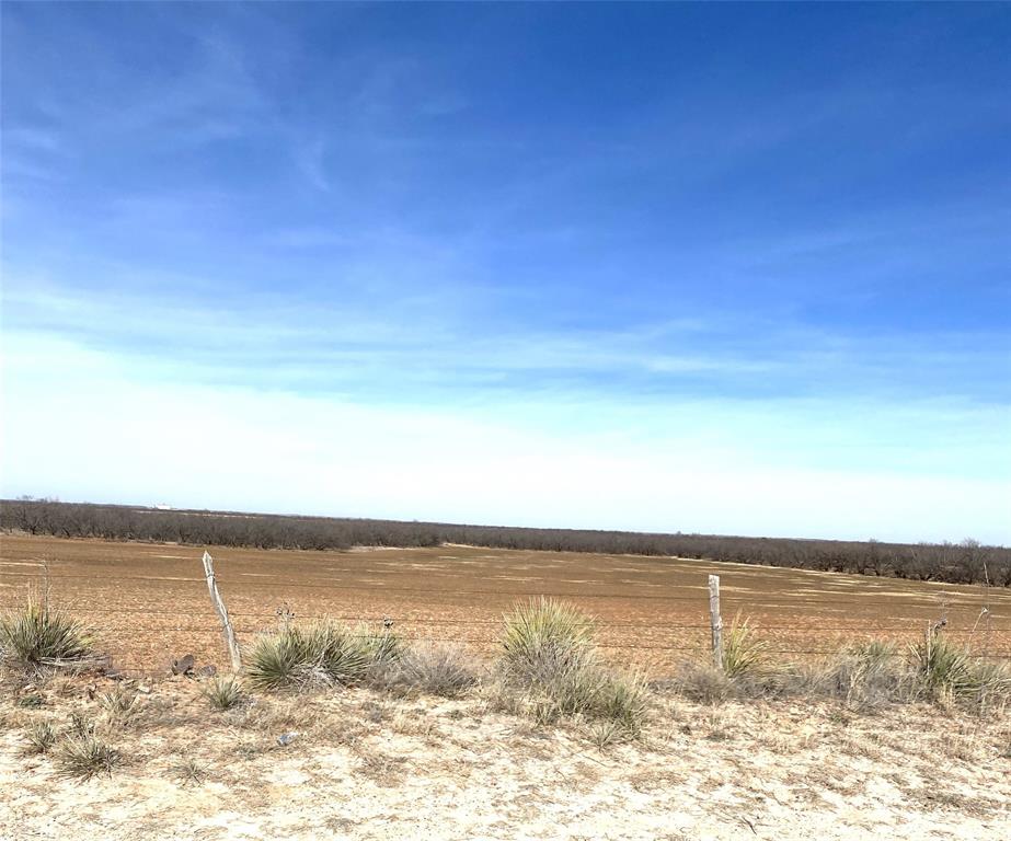 Tbd Tbd 182nd Hamlin, TX 79520 - Photo 3 of 21 a view of an ocean