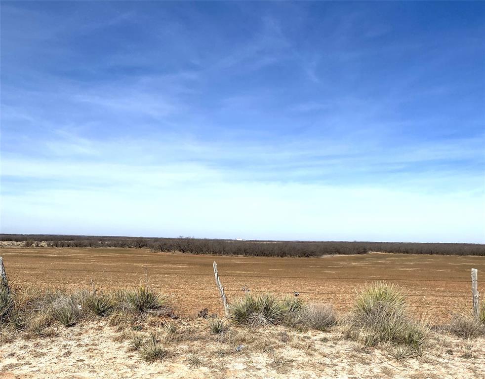 Tbd Tbd 182nd Hamlin, TX 79520 - Photo 4 of 21 a view of an ocean