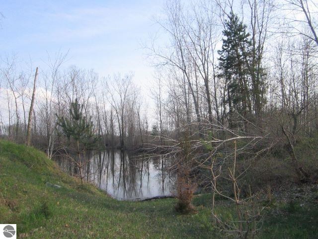 Tbd Pitt Road Sumner, MI 48889 - Photo 7 of 10 1783850-6.JPG