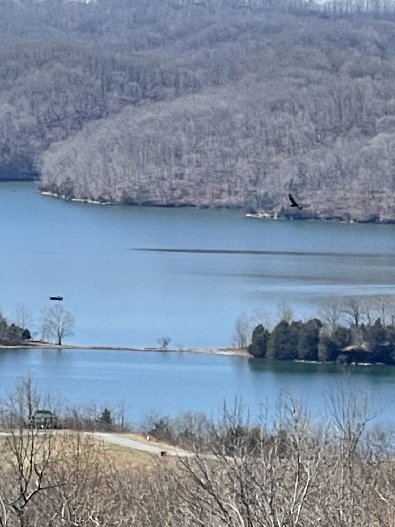 31 B Bass Road Celina, TN 38551 - Photo 13 of 35 a view of a lake