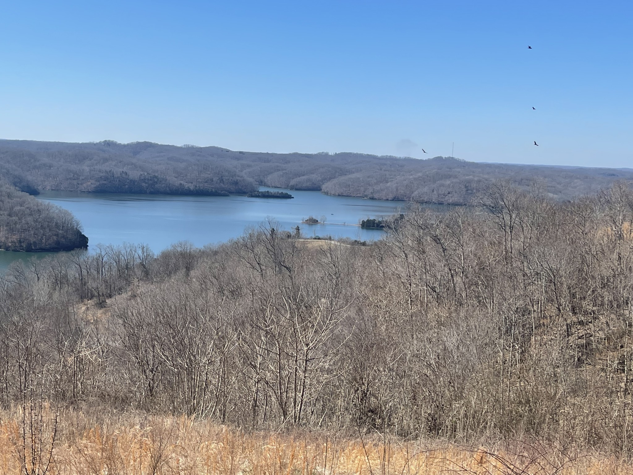 31 B Bass Road Celina, TN 38551 - Photo 15 of 35 a view of mountain and lake
