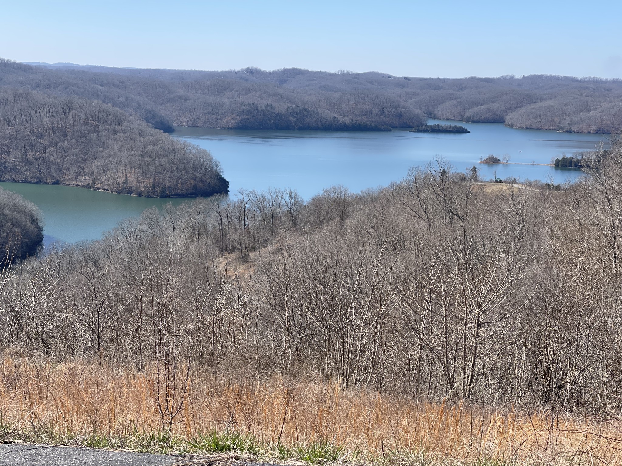 31 B Bass Road Celina, TN 38551 - Photo 16 of 35 a view of a lake in middle of forest