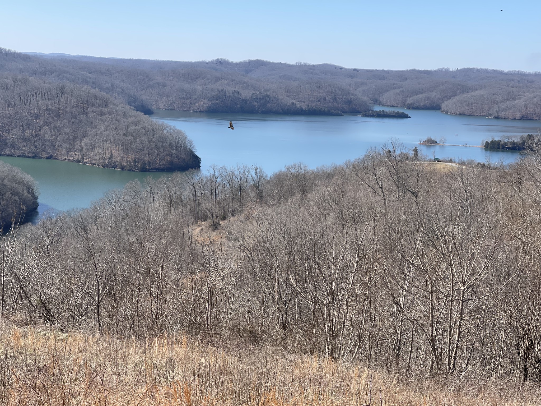 31 B Bass Road Celina, TN 38551 - Photo 17 of 35 a view of a lake in middle of forest