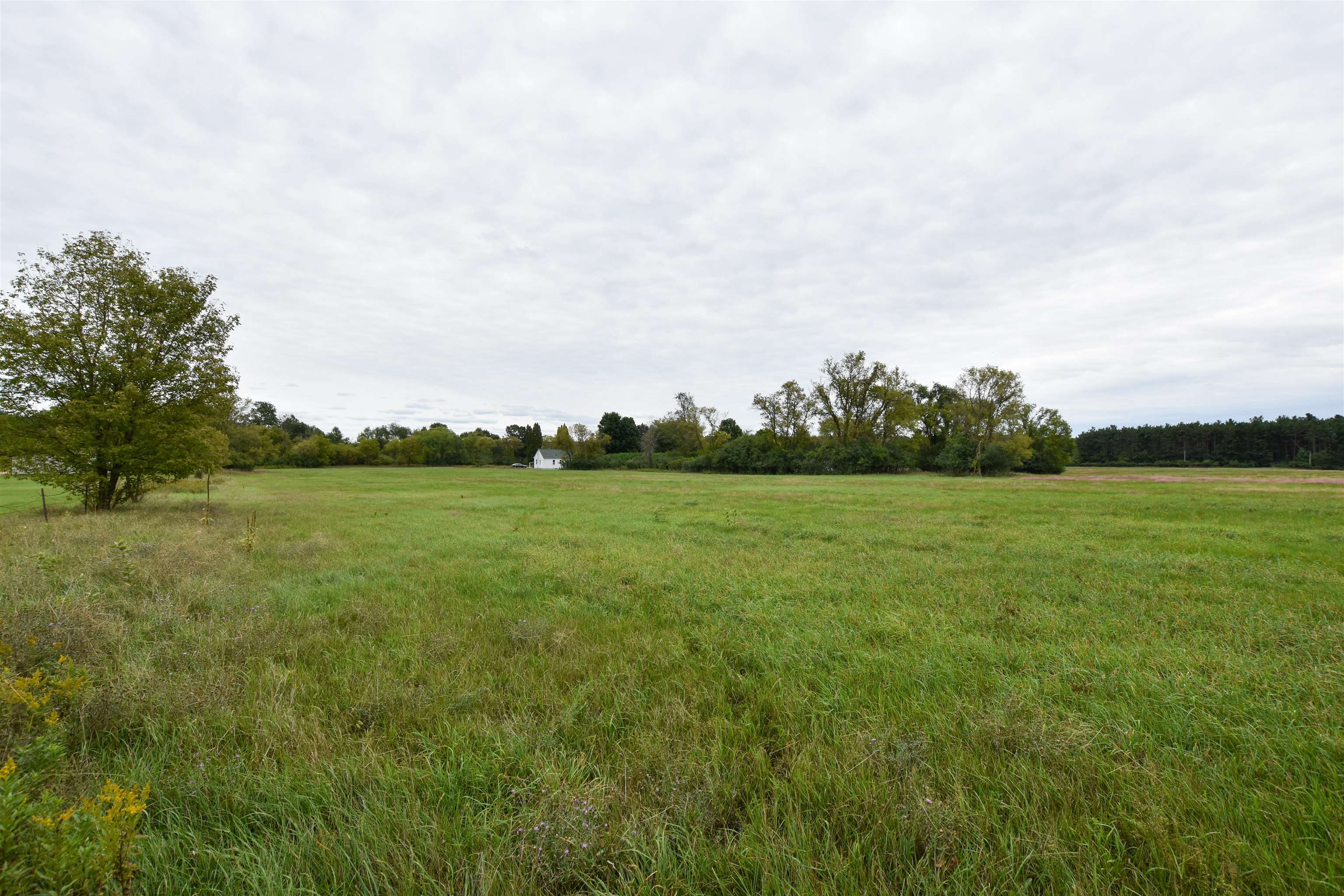 N5191 18th Road Wild Rose, WI 54984 - Photo 33 of 60 Gallery Image 33