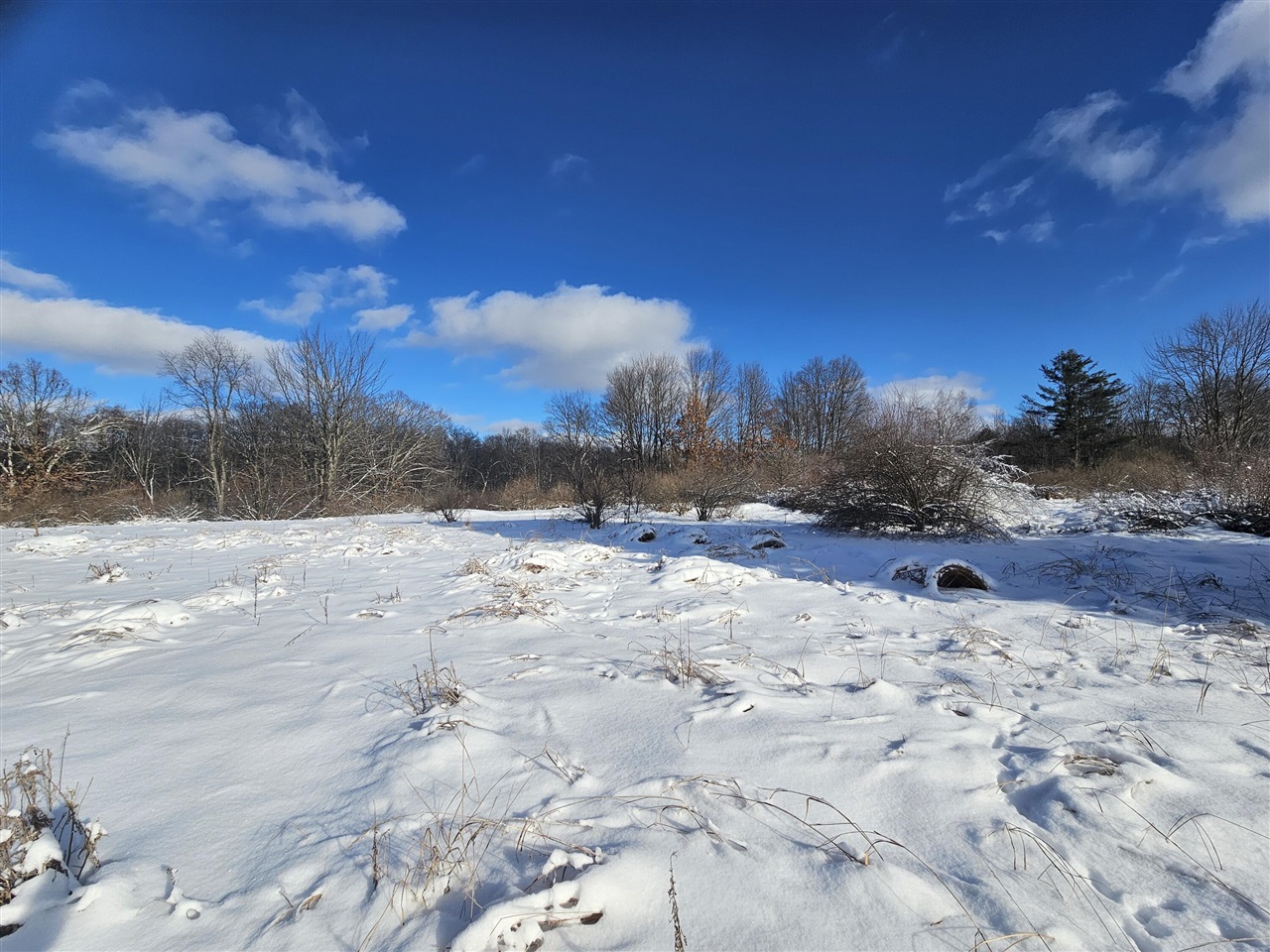 0 120th Avenue Rodney, MI 49342 - Photo 4 of 12