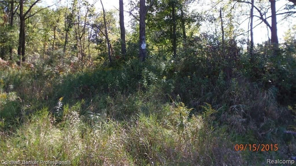 1695 West Newark Road Lapeer, MI 48446 - Photo 1 of 2 Gallery Image 1