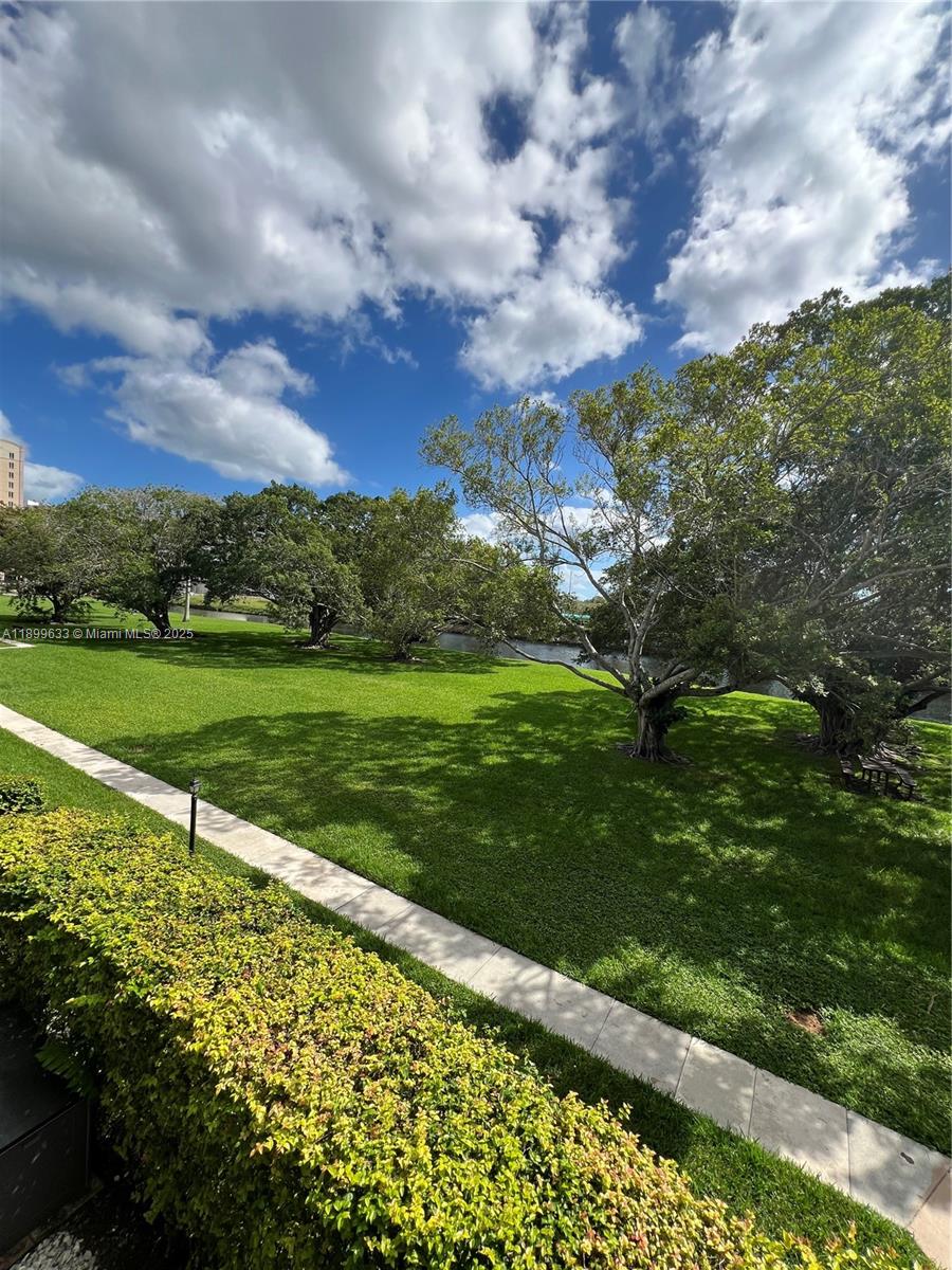 8335 Southwest 72nd Avenue, Unit 212D Miami, FL 33143 - Photo 29 of 31 a view of a big yard with a large tree
