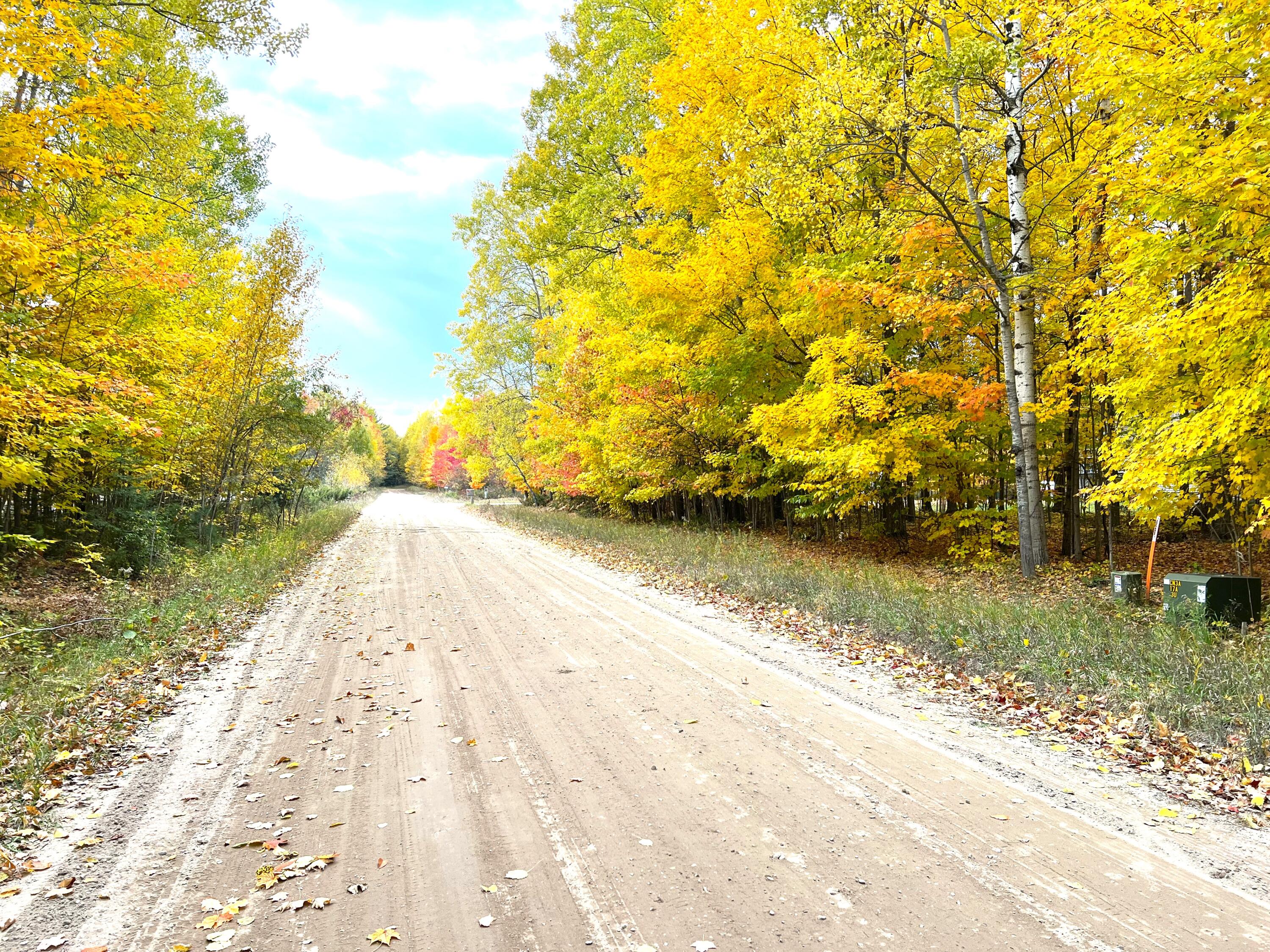 Lot 16 Trout Creek Road Cheboygan, MI 49721 - Photo 3 of 6 Gallery Image 3