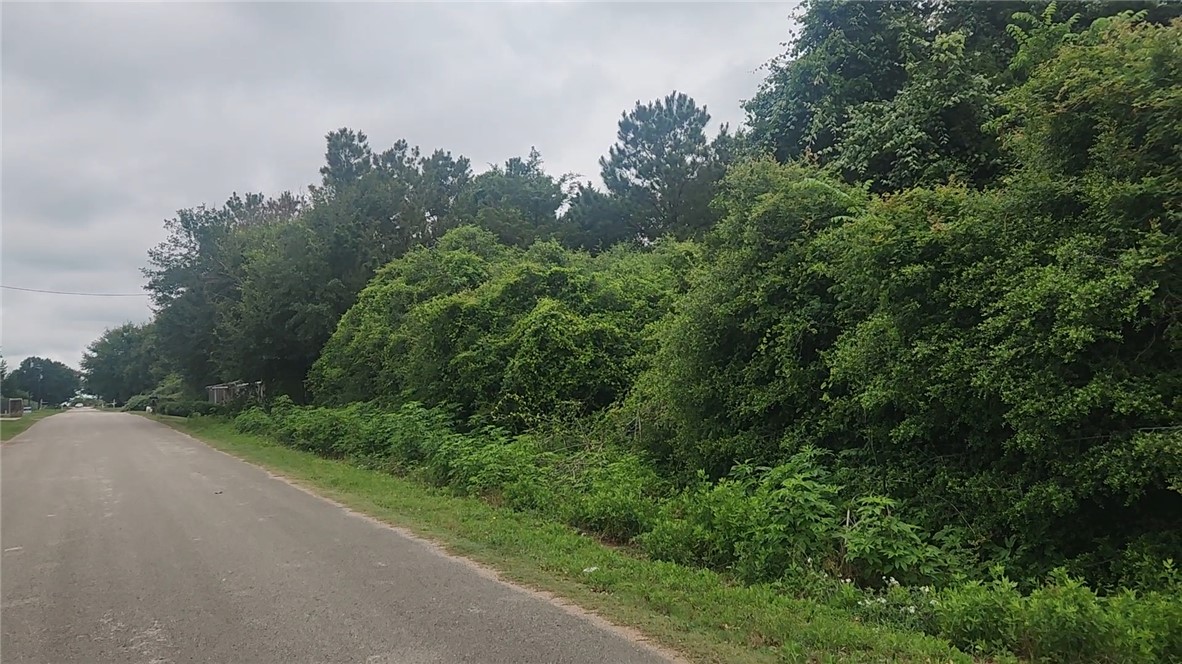 Lot 61 Greenfield Road Hempstead, TX 77445 - Photo 16 of 17 a view of a road with a trees in the background