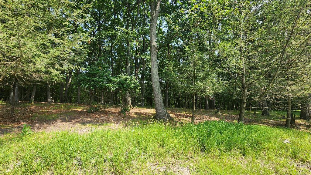 5464 Lee Road Huntingdon, PA 16652 - Photo 2 of 3 Gallery Image 2