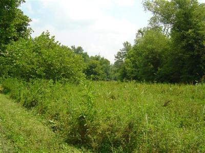 0 Saylor Road Crab Orchard, KY 40419 - Photo 2 of 10 Photo 2