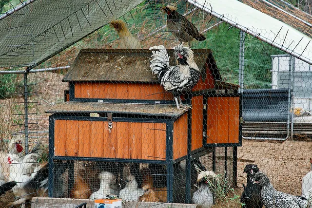 $4,400,000 | 1031 Hunters Creek, Hockley, TX 77447