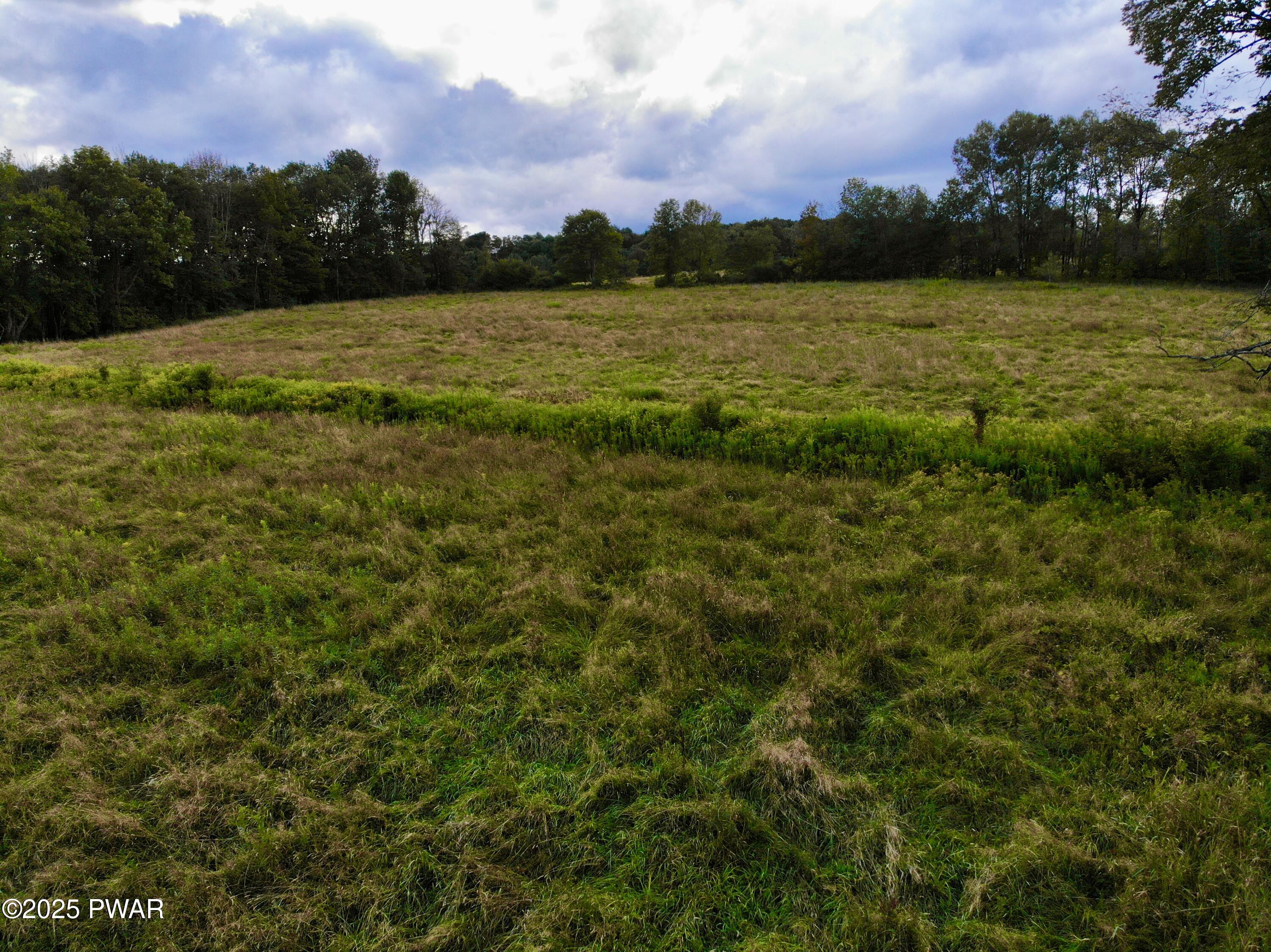 Fork Mountain Road Equinunk, PA 18417 - Photo 8 of 10
