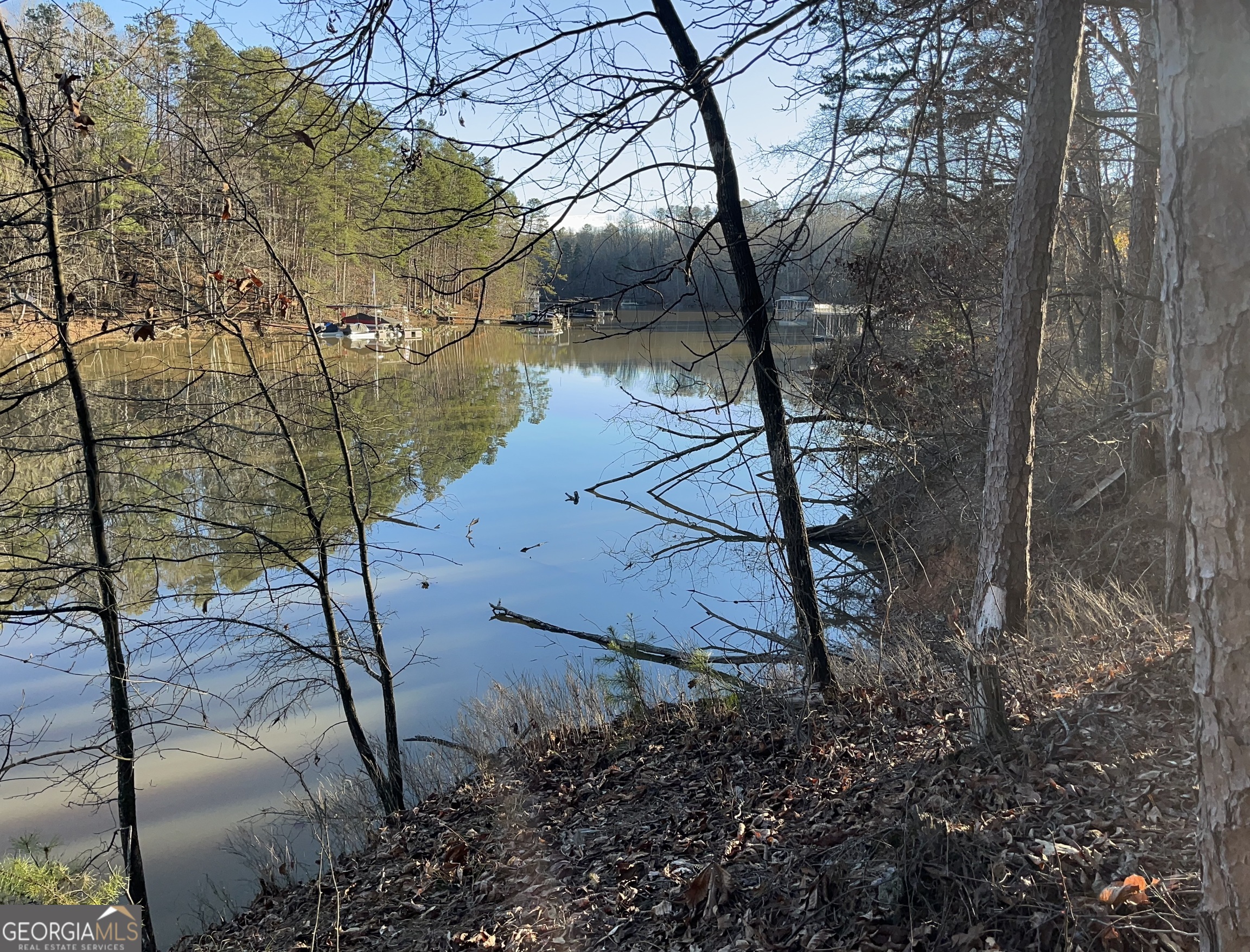 0 C Rogers Road Gainesville, GA 30506 - Photo 2 of 2 a view of a backyard of the house