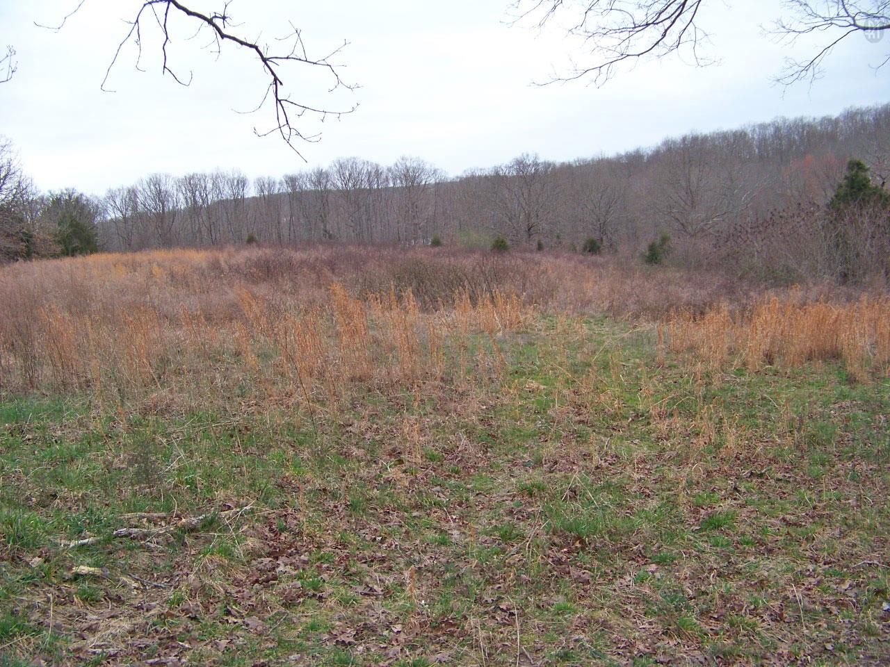 1015 Jim Clark Road Erin, TN 37061 - Photo 2 of 3 Gallery Image 2