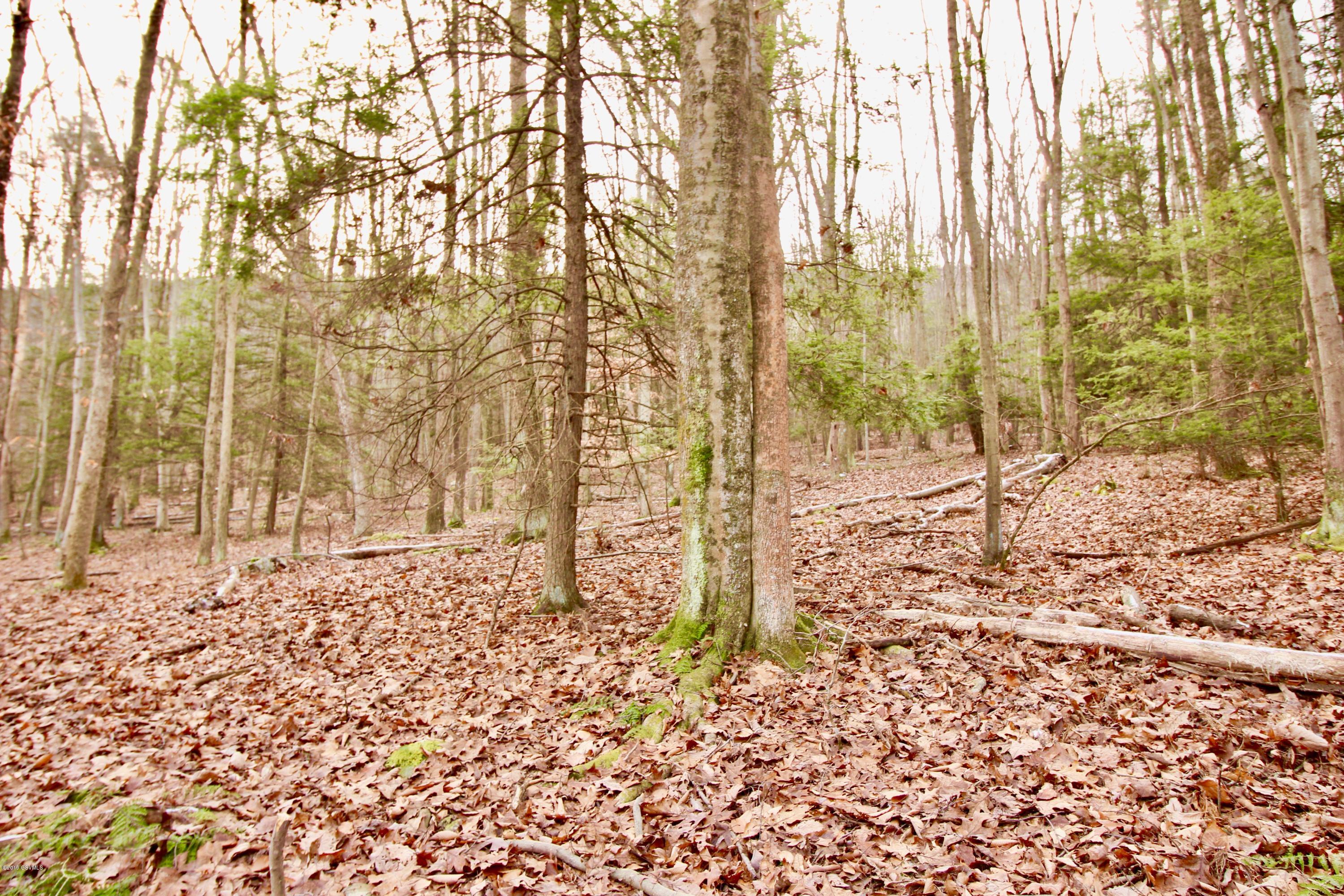 Ridge Road Orangeville, PA 17859 - Photo 2 of 5