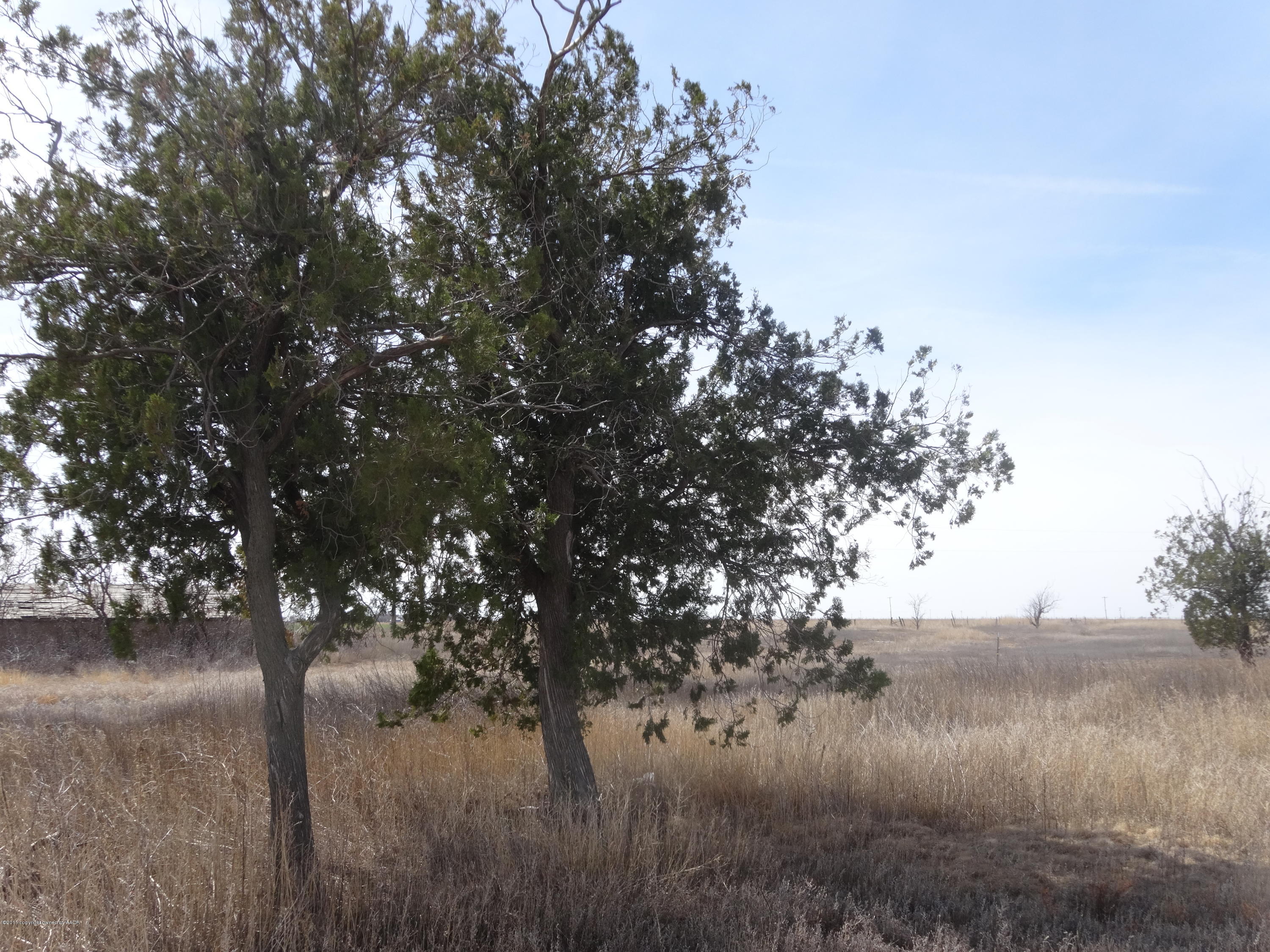 25601 Pondaseta Road Canyon, TX 79015 - Photo 28 of 49 Evergreens