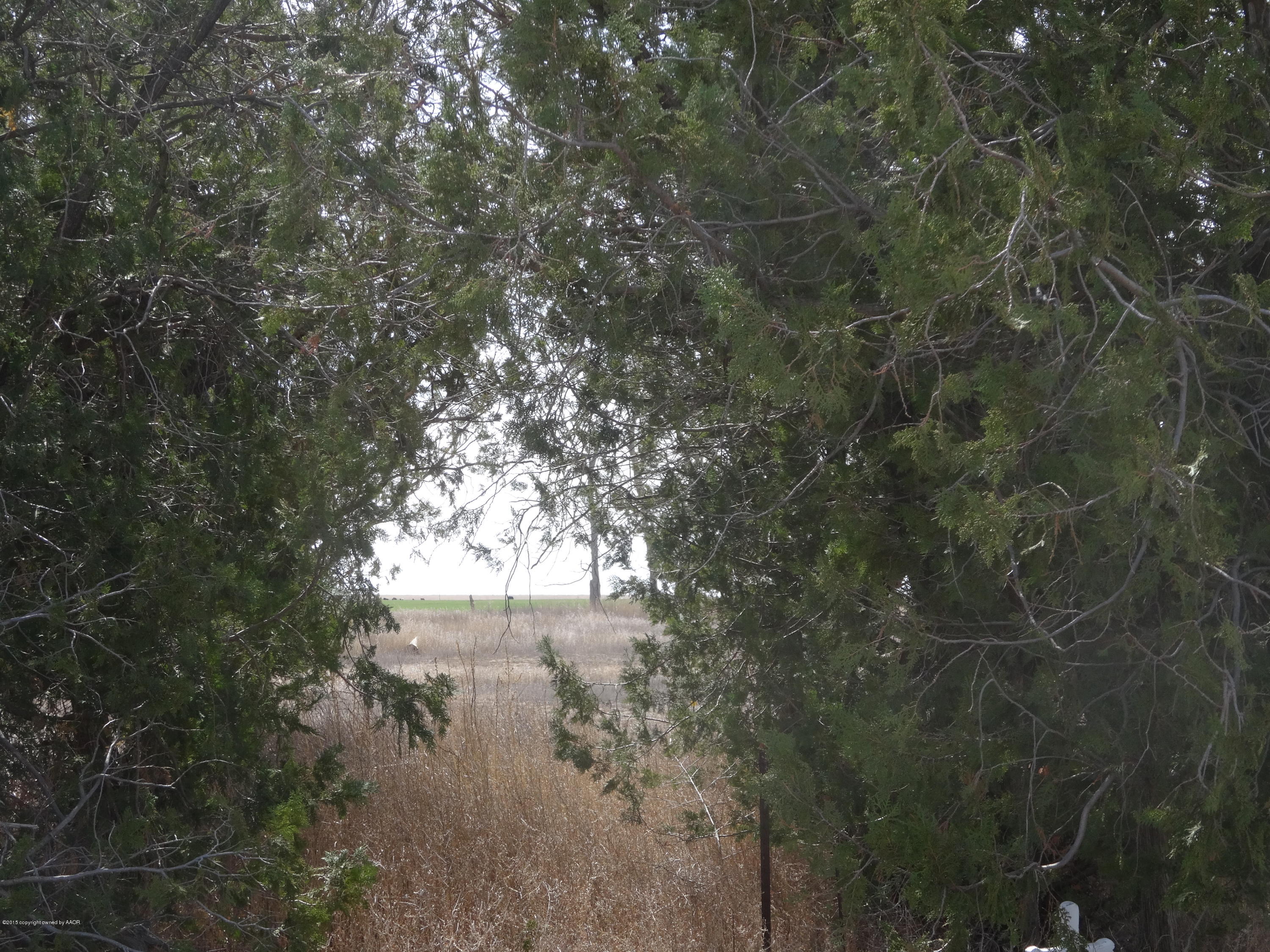 25601 Pondaseta Road Canyon, TX 79015 - Photo 31 of 49 DSC03080.JPG