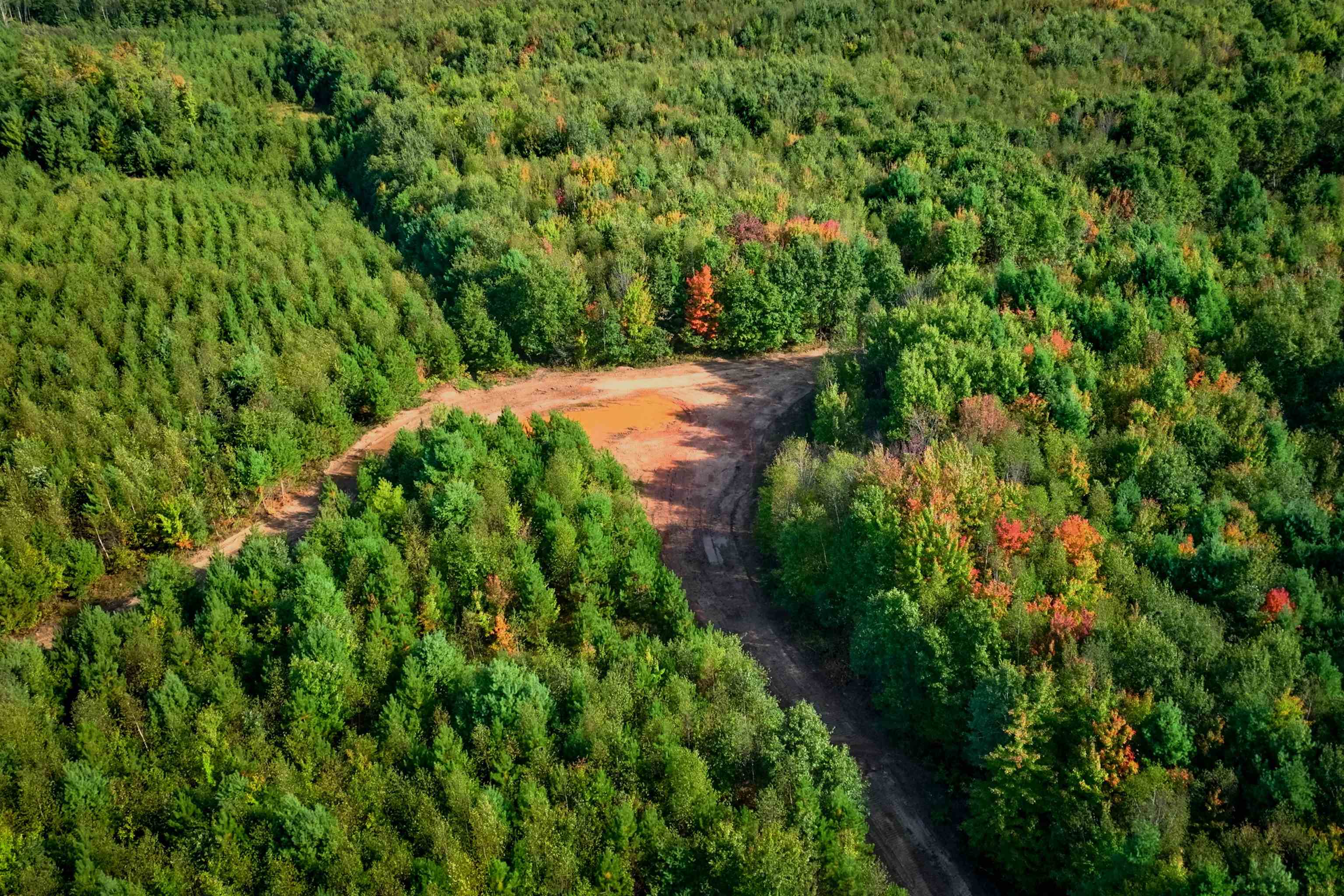 369-ac Channey Road Chippewa Falls, WI 54729 - Photo 22 of 41 Gallery Image 22