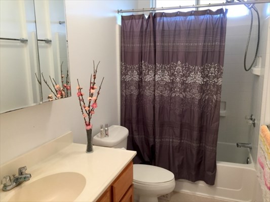 18-7876 Henele Road Mountain View, HI 96771 - Photo 12 of 20 Gallery Image 12