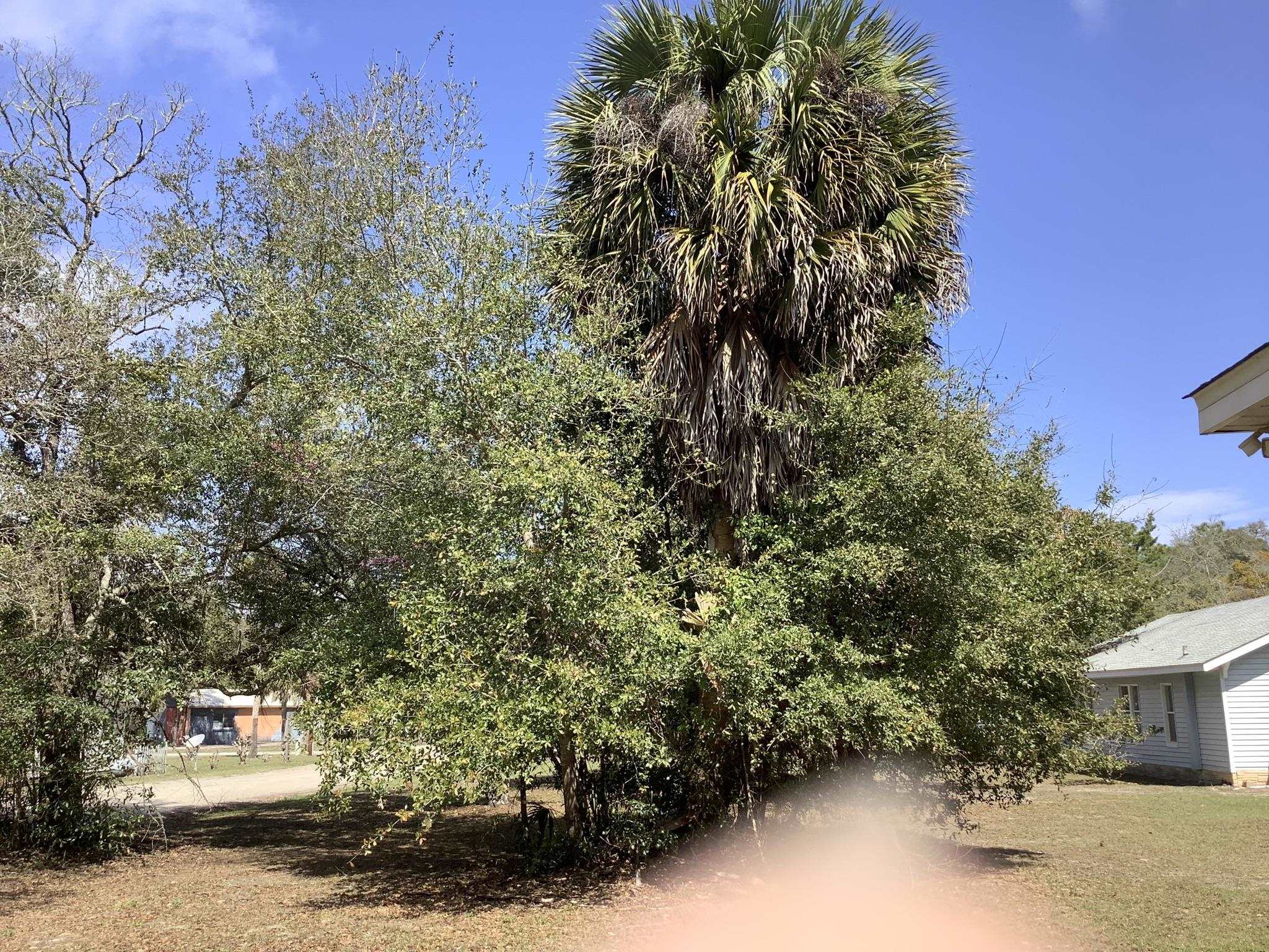 103 Center Street Panacea, FL 32346 - Photo 7 of 15